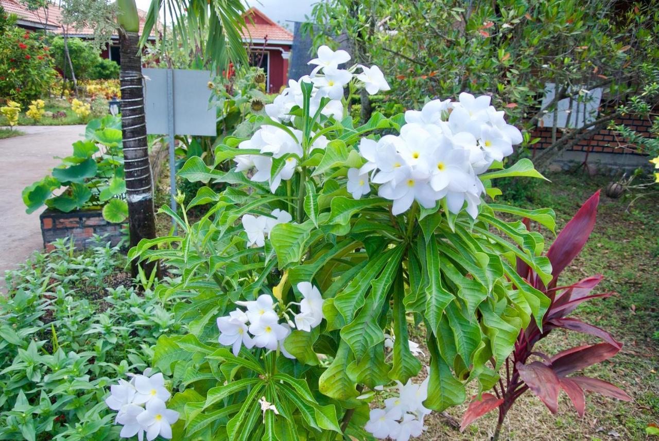 Phoumrumduol Bungalow Kampot Eksteriør billede