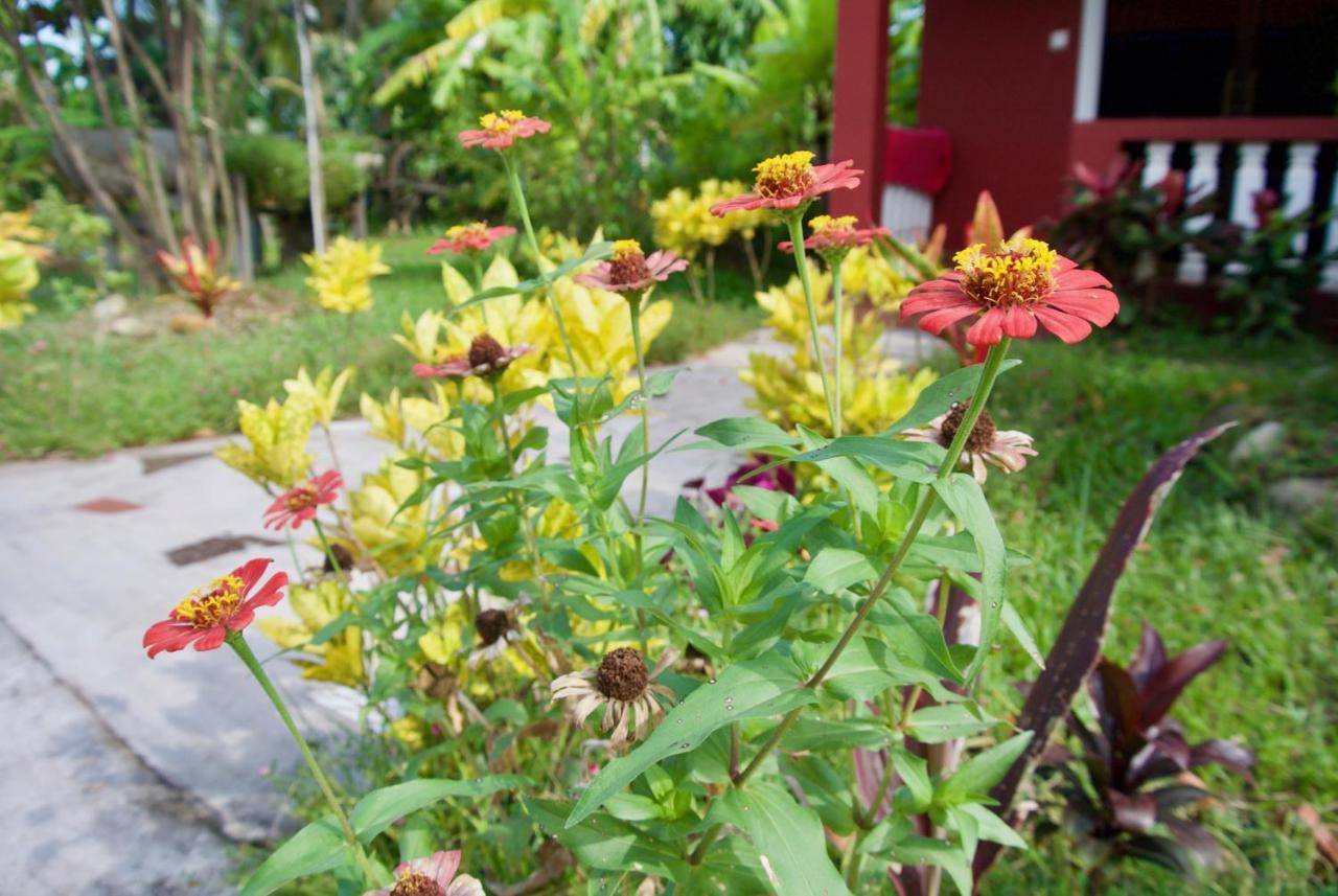 Phoumrumduol Bungalow Kampot Eksteriør billede
